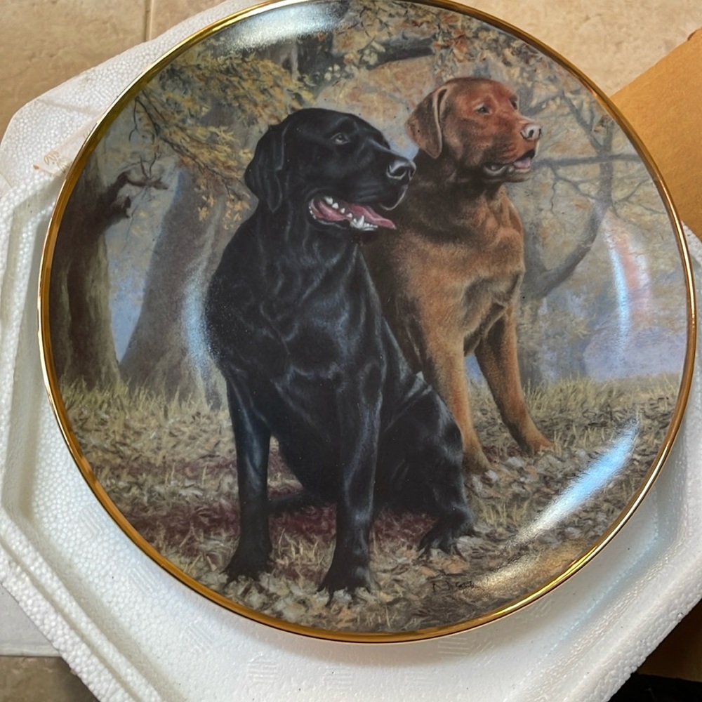 Franklin meant labrador retriever plate